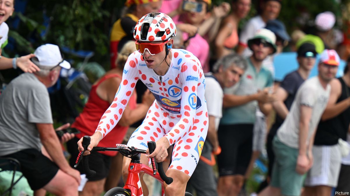King of cheap the mountain jersey